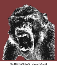 Angry Monkey Illustration. Screaming Monkey vector