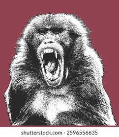Angry Monkey Illustration. Screaming Monkey vector