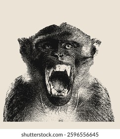 Angry Monkey Illustration. Screaming Monkey vector