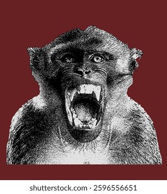 Angry Monkey Illustration. Screaming Monkey vector