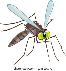 560 Angry Mosquito Stock Vectors, Images & Vector Art | Shutterstock