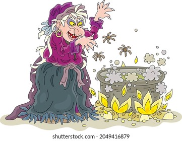 Angry old hag whispering diabolical spells and preparing a black magic poison with spiders in her large cauldron, vector cartoon illustration isolated on a white background