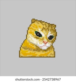 Angry orange cat, pixel art meme