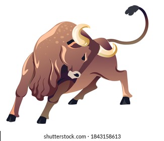 Angry ox or buffalo with horns, aggressive animal character isolated on white. Strong bull personage, wildlife and wilderness. Bullfight or corrida, highland creature in rage, vector in flat style