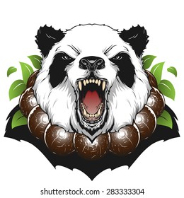 Angry panda illustration