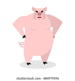 Angry pig. Aggressive wild boar.  big aper. grumpy farm animal. 