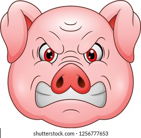 Angry pig head cartoon mascot