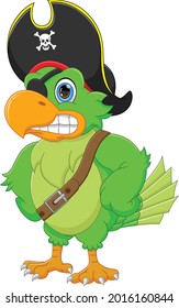 angry pirate parrot cartoon on white background