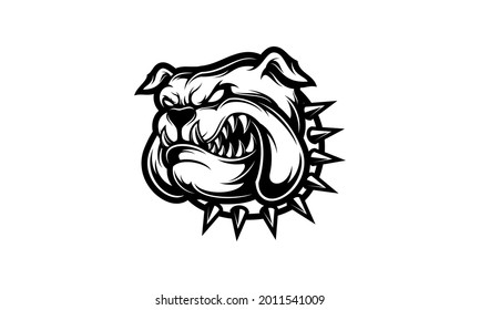 Angry Pitbul head isolated vector