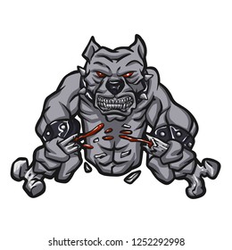 Angry pitbull breaking bone