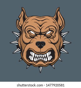 Angry pitbull head. Vector illustration.