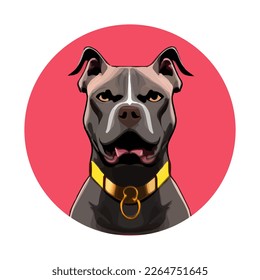 Angry pitbull, Vector illustration on a white background