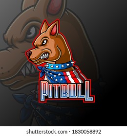Angry pitbull wearing a scarf mascot logo of illustration