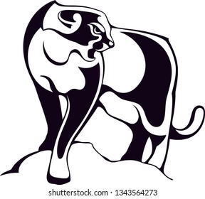 angry puma on the hill