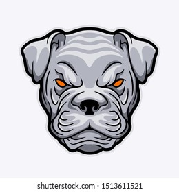 Angry puppy, with gray and black color