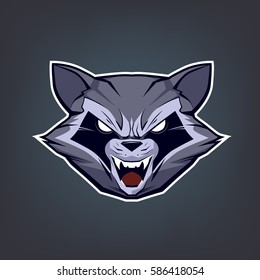 angry Raccoon mascot, head logo, icon. Modern symbol for sport, your design, vector illustration