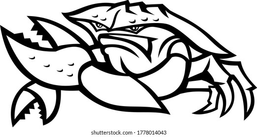 Angry Red King Crab Mascot Black and White