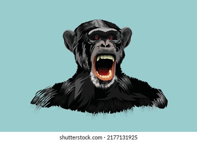 Angry roaring Chimpanzee ape's head and torso in the isolated vector