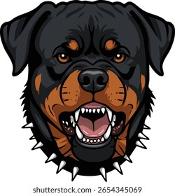 Angry Rottweiler dog  vector illustration 