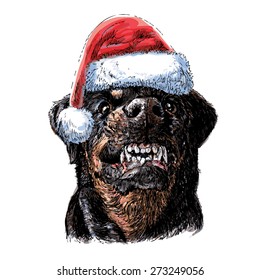 Angry Rottweiler with santa claus hat hand drawn vector , use for christmas background