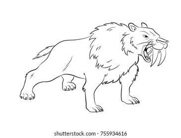 Angry Saber Tiger Drawing Vector Stock Vector (Royalty Free) 755934616 ...