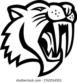 Angry Saber Toothed Cat Head Mascot Black and White
