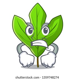 Angry sassafras leaf in the mascot pots