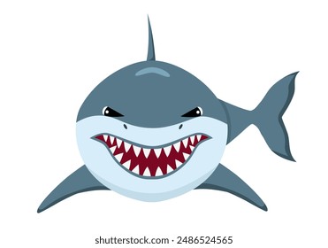 Angry Shark animal front view. Underwater swimming shark, toothy fish character. Ocean aquatic shark animal vector cartoon on white background.