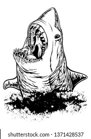 angry shark, black white vector illustration