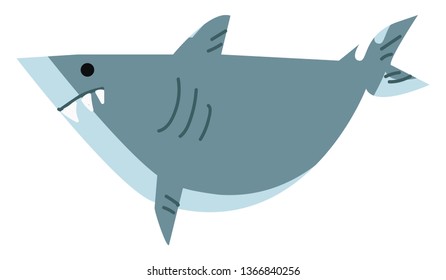 Angry shark looking for prey vector or color illustration