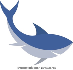 Angry shark sea vector illustration