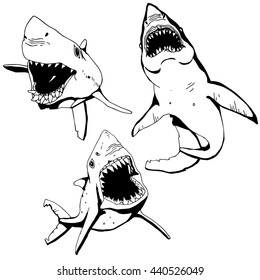  Angry Shark Set