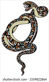 angry snake. Attacking coiled serpent. Tattoo style isolated vector illustration