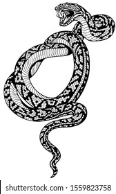 angry snake. Attacking coiled serpent. Black and white tattoo style isolated vector illustration