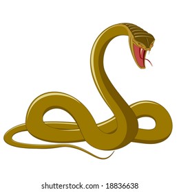 Angry snake - isolated on white - vector