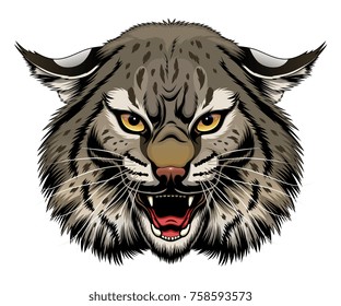 Angry Stylized Bobcat Head. Vector Illustration.