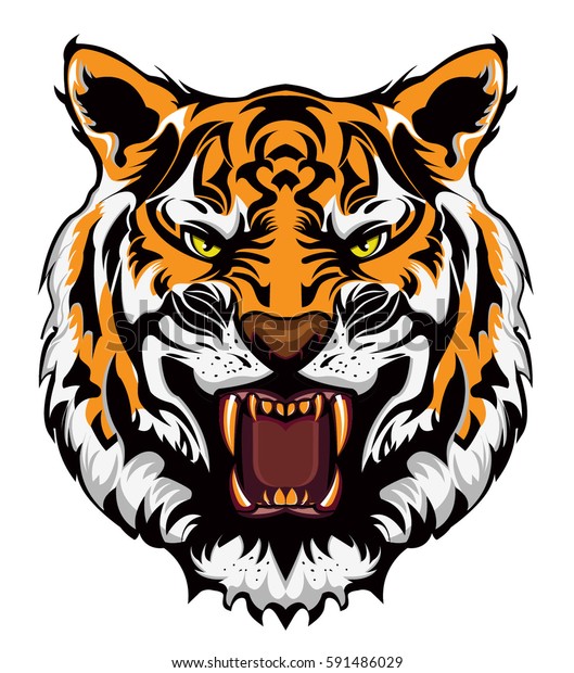 怒った虎の顔 のベクター画像素材 ロイヤリティフリー
