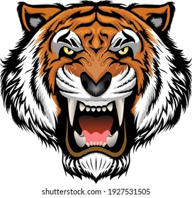 Angry tiger face, Animal face, Tiger vector