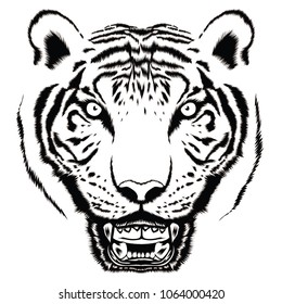 Angry Tiger Face Isolated On White Stock Vector (Royalty Free ...