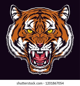 Angry tiger face, Vector illustration design