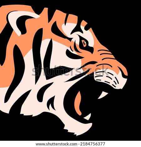 Angry tiger growls and bares its teeth. Bengal or Amur tiger. Head portarit. Big wild cat. Strong animal predator. Striped orange skin. Fauna and zoo. Flat vector illustration. Black background