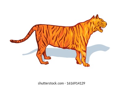 Angry tiger hand drawn vector illustration. Dangerous wild cat side view, exotic animal colorful drawing. Tropical jungle fauna design element. Zoo inhabitant isolated on white background