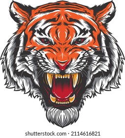 Es una cabeza de tigre enojada.