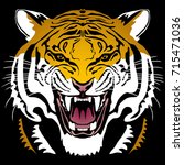 Angry tiger head; hand drawn vector graphic. Colored variant on black square background.