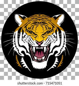 Angry tiger head; hand drawn vector graphic. Circle shaped colored variant on transparent background.