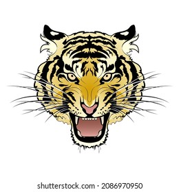 Angry tiger (head) with open mouth isolated on white background. Vector illustration.