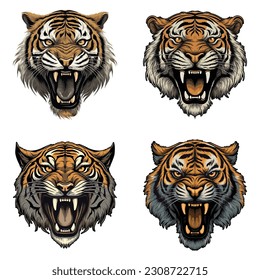 Angry Tiger Head set, vector illustration