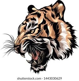 angry tiger head for t-shirts