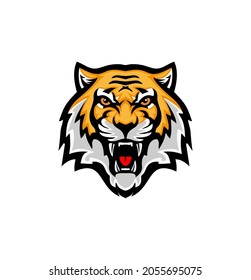 Angry Tiger head. Vector illustration of a tiger head