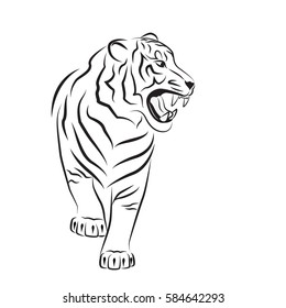 Angry tiger. Illustration isolated on white.